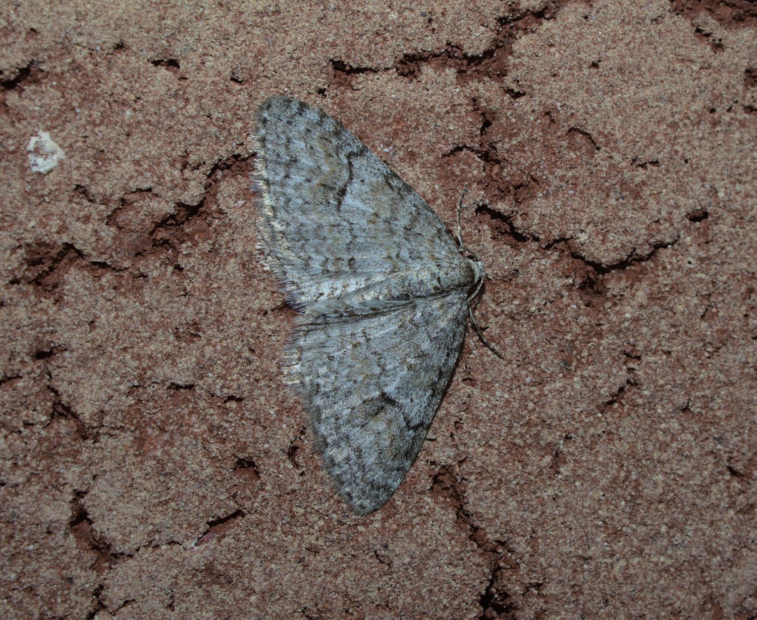 Small AND boring_20210406.jpg